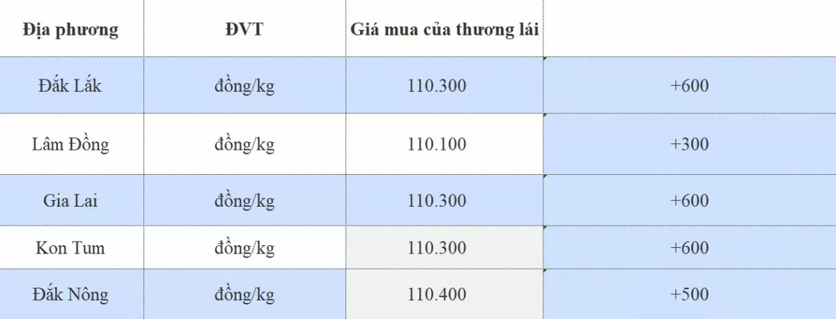 Giá cà phê hôm nay 14/11/2024: