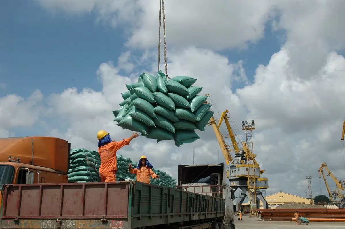 Bộ Công Thương tìm giải pháp tăng xuất khẩu gạo sang Trung Quốc