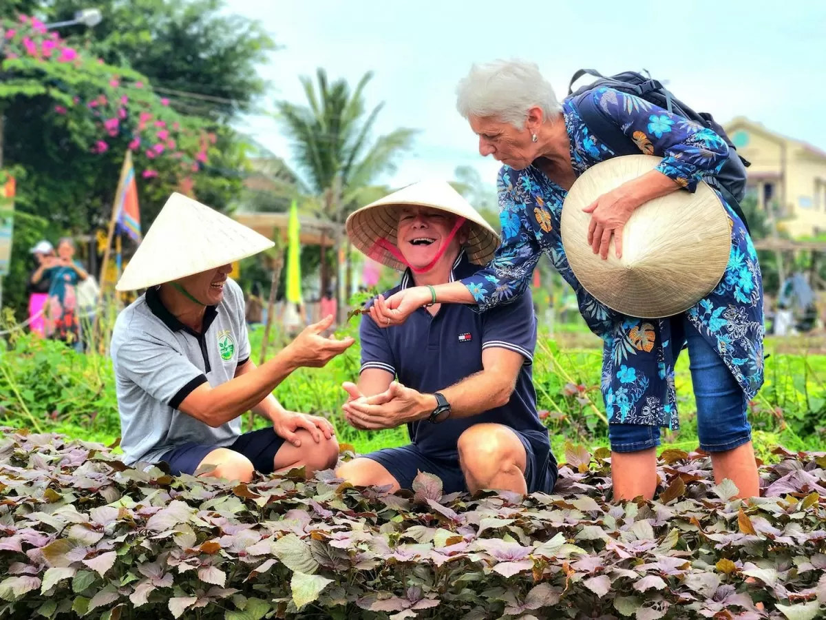 Quảng Nam: Làng rau Trà Quế là 