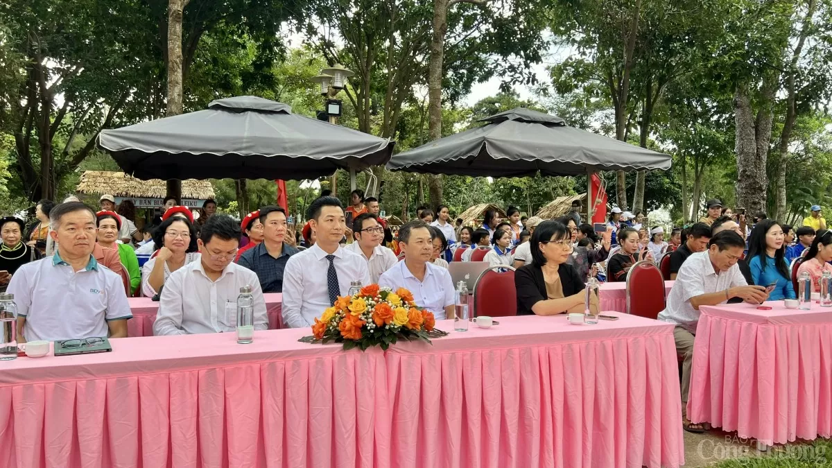 Hấp dẫn chuỗi hoạt động tại Ngày hội Di sản văn hóa 2024 Gia Lai: Hấp dẫn chuỗi hoạt động tại Ngày hội Di sản văn hóa 2024