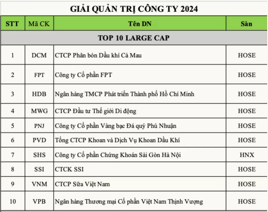 Top 10 Doanh nghiệp Quản trị công ty tốt năm 2024