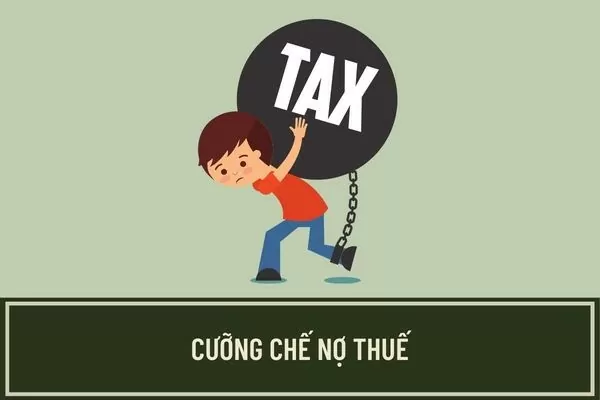 Bạc Liêu: Công ty CP tư vấn xây dựng Tiến Hưng bị cưỡng chế thuế, ngừng sử dụng hóa đơn