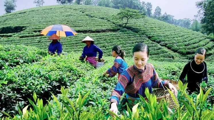 Bắc Giang: Tặng Bằng khen 16 cá nhân đóng góp phát triển vùng dân tộc thiểu số