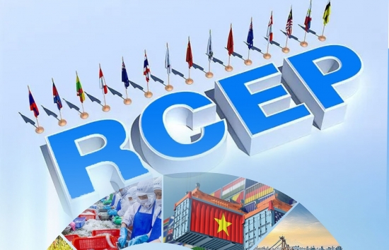 4 nam ky ket hiep dinh rcep canh cua moi mo ra cho doanh nghiep viet