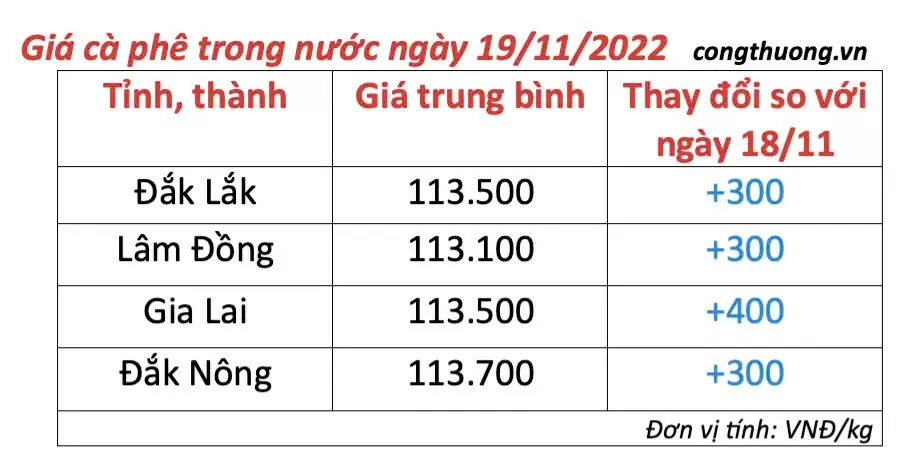 Giá cà phê hôm nay 19/11/2024: Giá cà phê trong nước