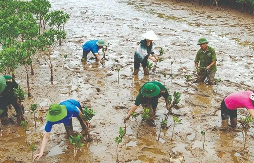 Ban hành kế hoạch quốc gia thích ứng với biến đổi khí hậu giai đoạn 2021-2030, tầm nhìn 2050