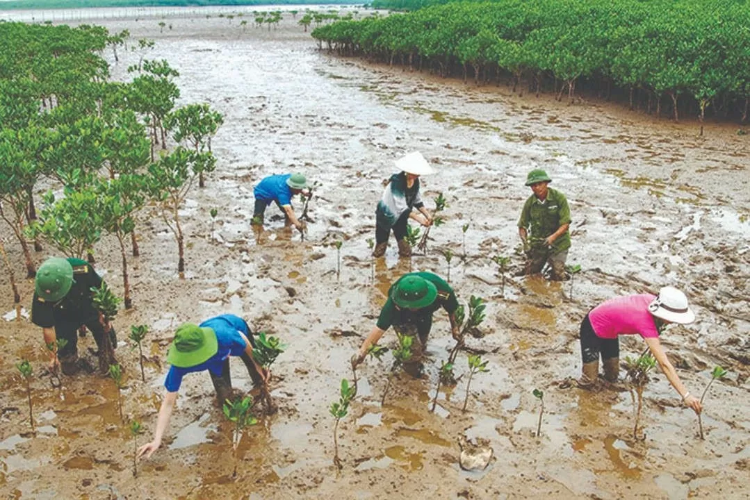 Ban hành kế hoạch quốc gia thích ứng với biến đổi khí hậu giai đoạn 2021-2030, tầm nhìn 2050