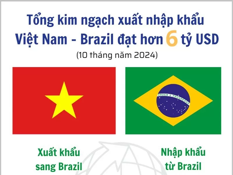 Infographic |Tổng kim ngạch xuất nhập khẩu Việt Nam - Brazil đạt hơn 6 tỷ USD