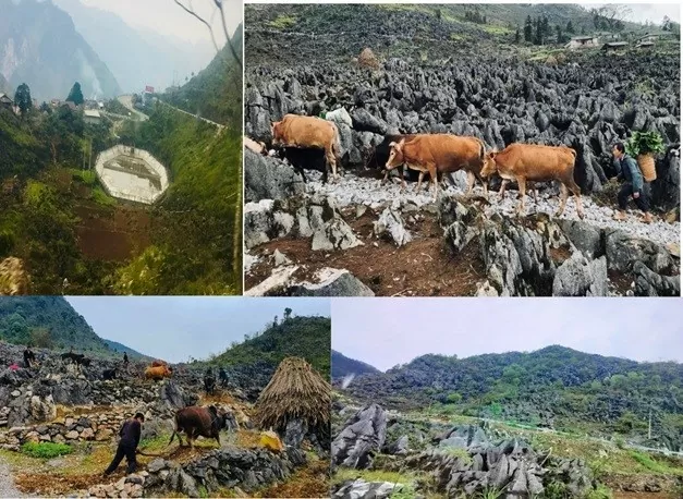 Bài 2: Động lực 'tiên quyết' giúp đồng bào Hà Giang phát triển