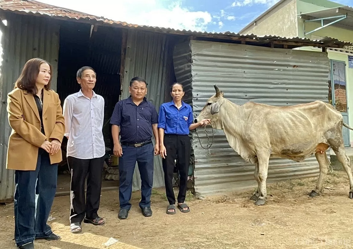 Gia Lai: Hỗ trợ cô giáo nghèo vượt qua gia cảnh khó khăn vươn lên trong cuộc sống