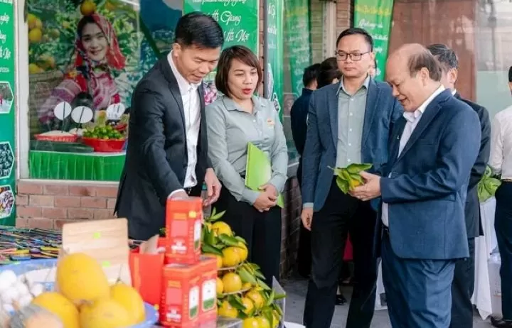 Hà Nội - Hà Giang kết nối tiêu thụ sản phẩm OCOP và nông sản tiêu biểu