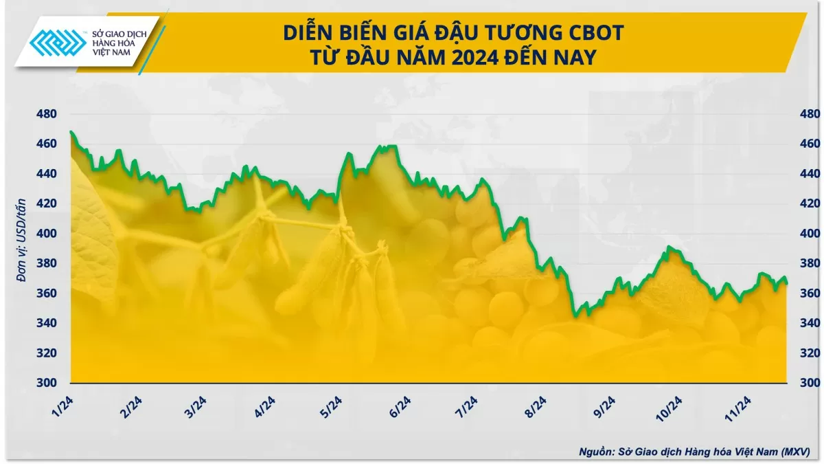 Giá đậu tương năm 2025 sẽ diễn biến ra sao?