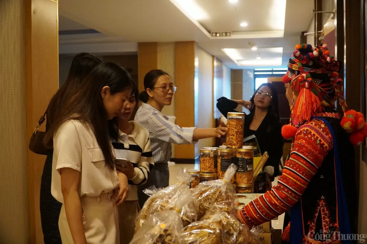Giới thiệu các sản phẩm đặc trưng tỉnh Lai Châu tại Hội nghị Giới thiệu các sản phẩm đặc trưng tỉnh Lai Châu tại Hội nghị