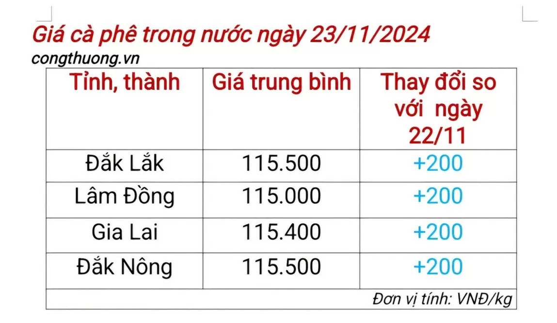 Giá cà phê hôm nay 23/11/2024: Giá cà phê trong nước tiếp tục tăng