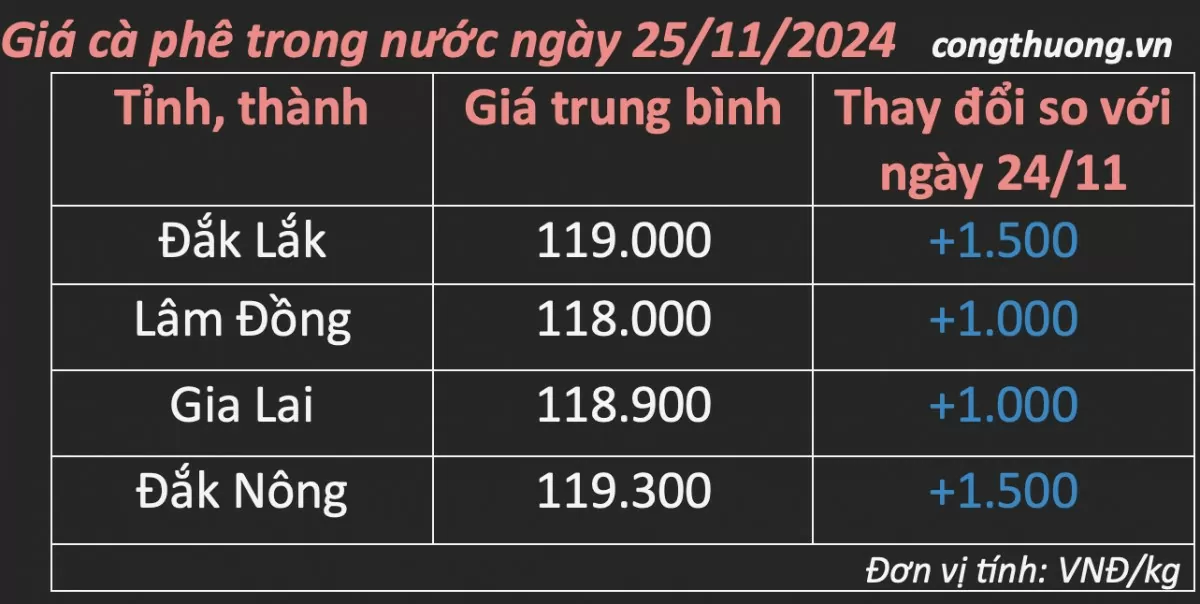 Giá cà phê hôm nay 25/11/2024: Giá cà phê trong nước tiếp tục tăng mạnh