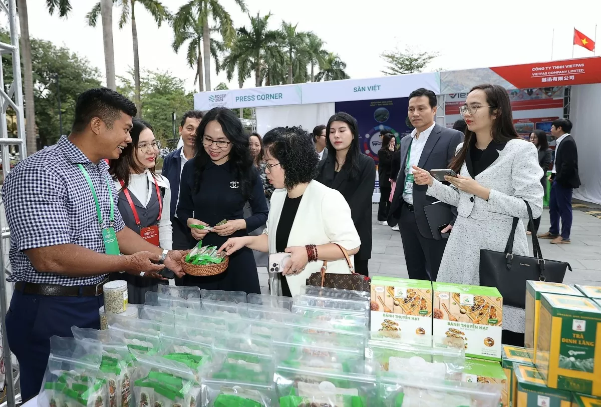 Thương mại điện tử xuyên biên giới: Cơ hội và thách thức cho xuất khẩu sản phẩm Việt