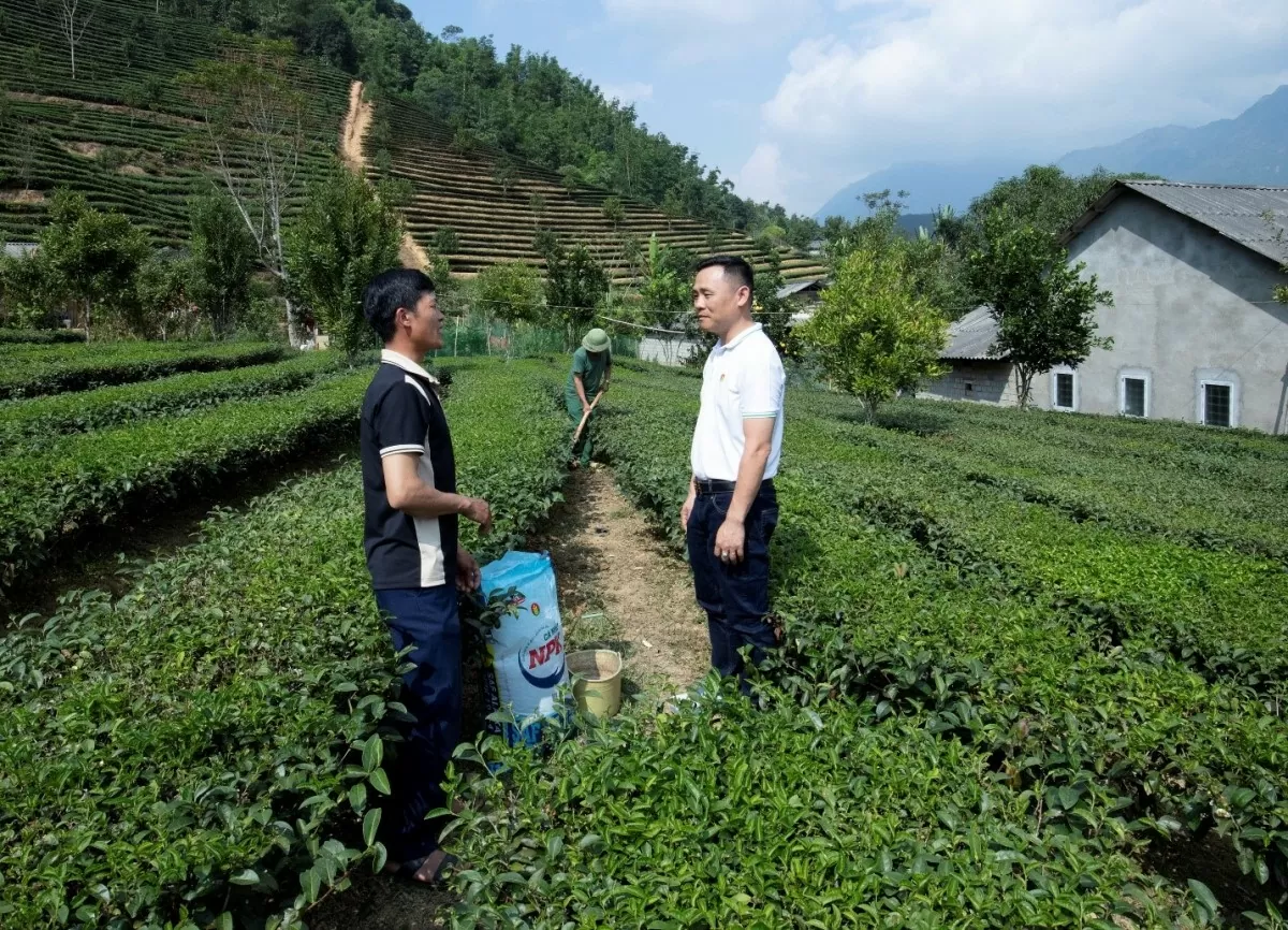 PVCFC thăm hỏi và chia sẻ về việc canh tác của bà con nông dân