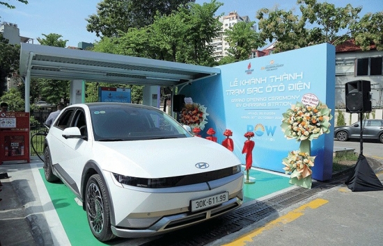 pv power tung buoc xanh hoa