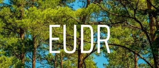 Ngành nông lâm sản đối mặt thách thức lớn trước Quy định EUDR