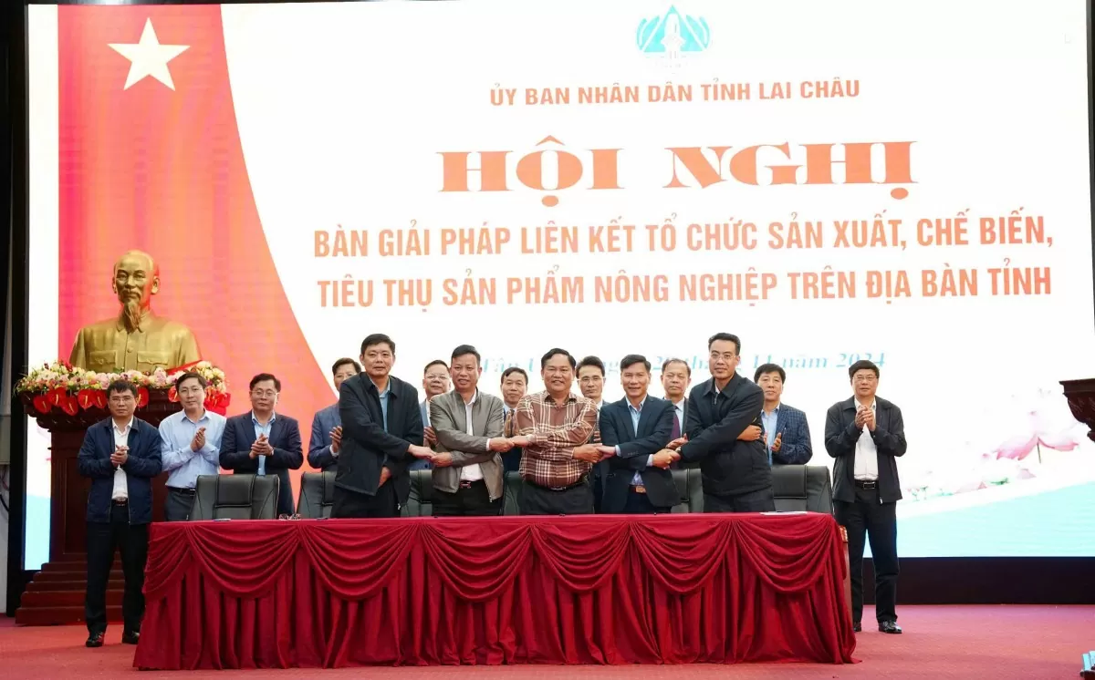 Lai Châu: Tìm giải pháp liên kết tổ chức sản xuất, chế biến tiêu thụ sản phẩm nông nghiệp