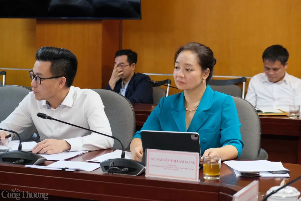 Vụ trưởng Vụ Tiết kiệm năng lượng và Phát triển bền vững có báo cáo trong buổi họp. Ảnh: Trần Đình