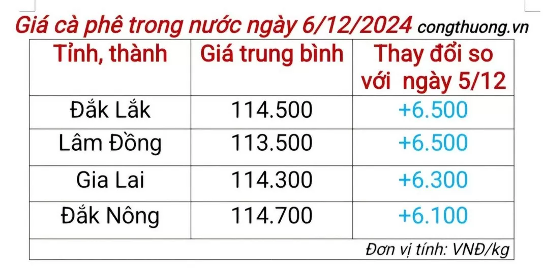 Giá cà phê hôm nay 6/12/2024: Giá cà phê trong nước bật tăng trở lại