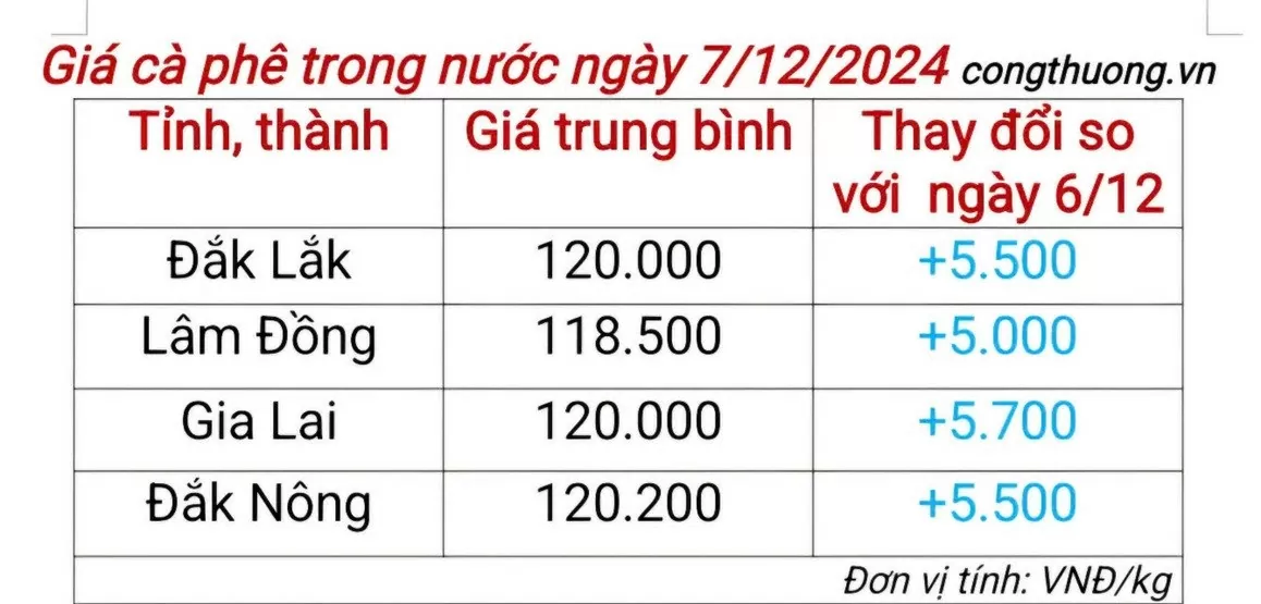 Giá cà phê hôm nay 7/12/2024: Giá cà phê trong nước tiếp tục tăng mạnh