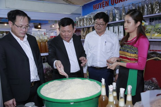 doanh so ban hang dat 7 ty dong tu hoi cho thuong mai va du lich mien tay thanh hoa nam 2024