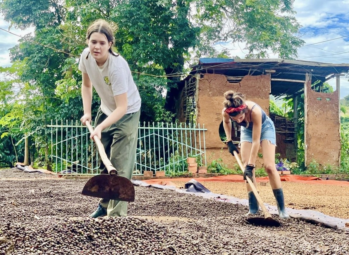 Tình nguyện viên nước ngoài sắm vai nông dân, trải nghiệm quy trình trồng cà phê ở Gia Lai