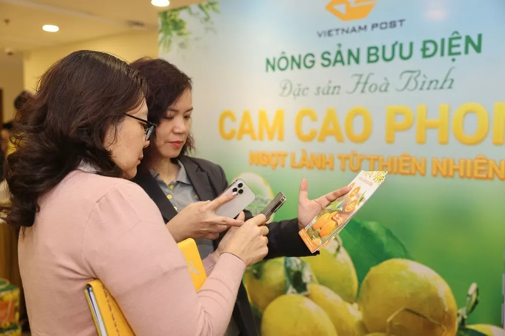 Sàn thương mại điện tử chuyên biệt về nông sản: Nâng tầm nông sản Việt