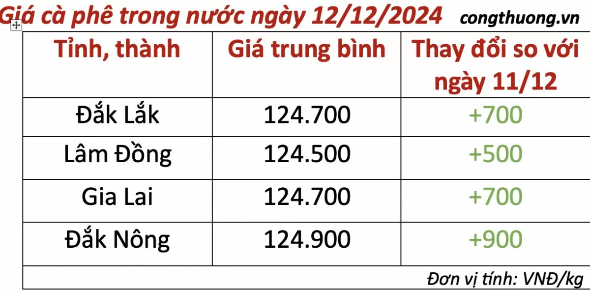 Giá cà phê hôm nay 12/12/2024: Giá cà phê trong nước tăng nhẹ