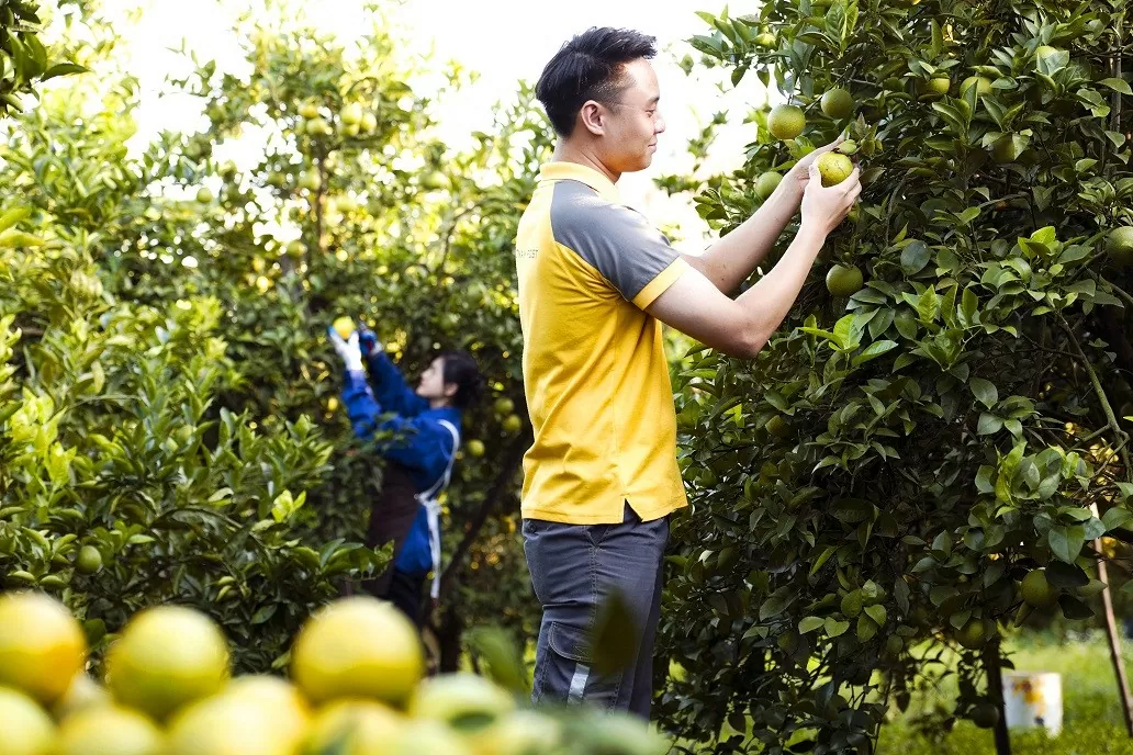 Tăng cơ hội tiêu thụ nông sản qua sàn thương mại điện tử nongsan.buudien.vn