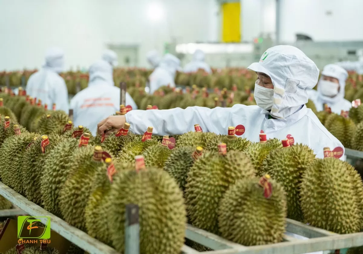 Chuyển đổi xanh phải bắt nguồn từ cải cách thể chế