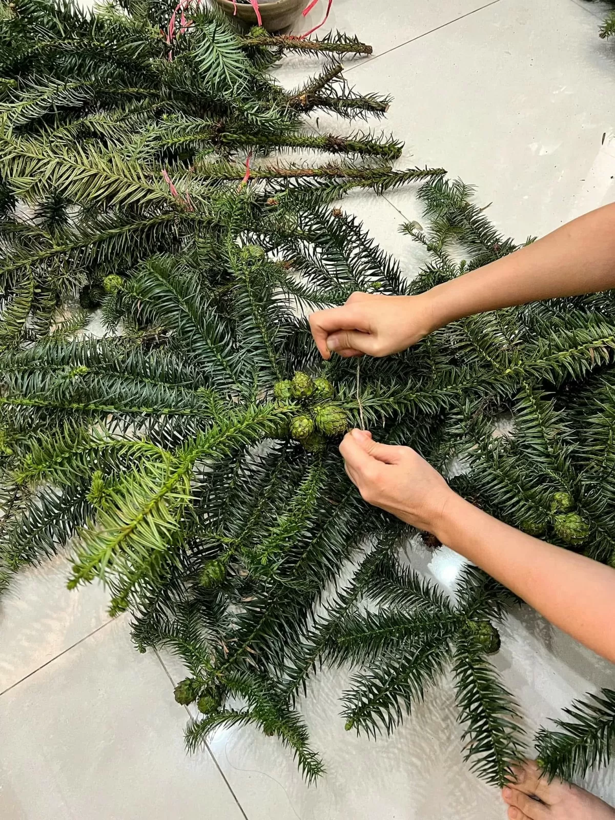Ngoài cây thông tươi nhập khẩu, cành thông cũng được nhiều khách hàng lựa chọn vì giá thành và gọn nhẹ