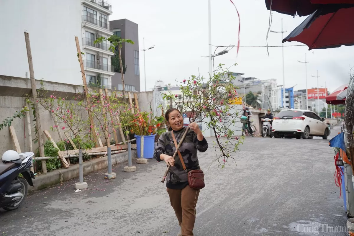 Đào, quất xuống phố mang không khí Tết đến sớm tại Hà Nội