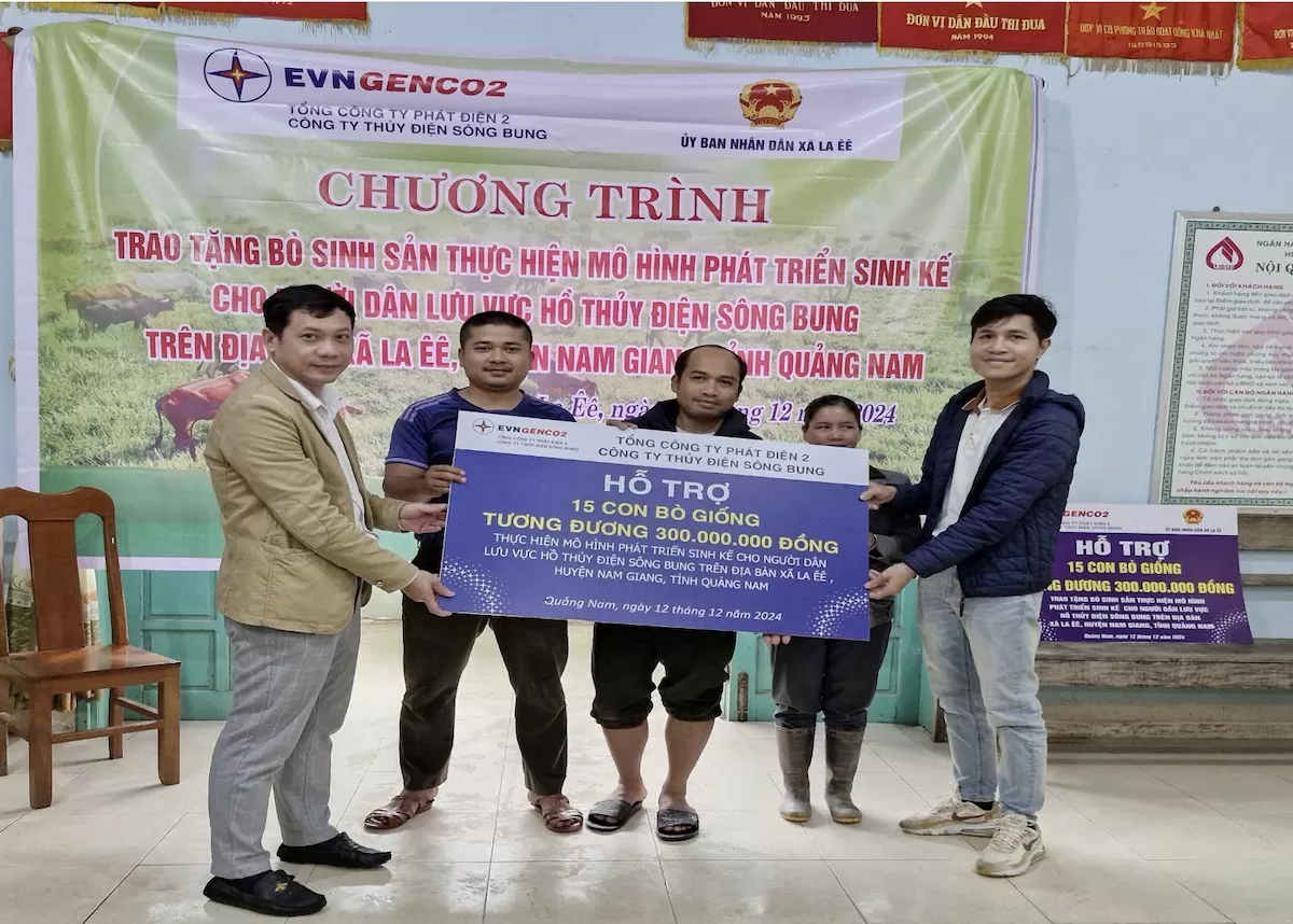 Công ty Thủy điện Sông Bung trao tặng 30 con bò giống cho hộ nghèo tại tỉnh Quảng Nam