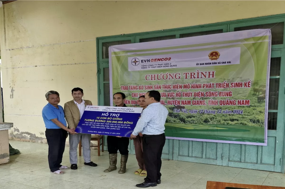 Công ty Thủy điện Sông Bung trao tặng 30 con bò giống cho hộ nghèo tại tỉnh Quảng Nam