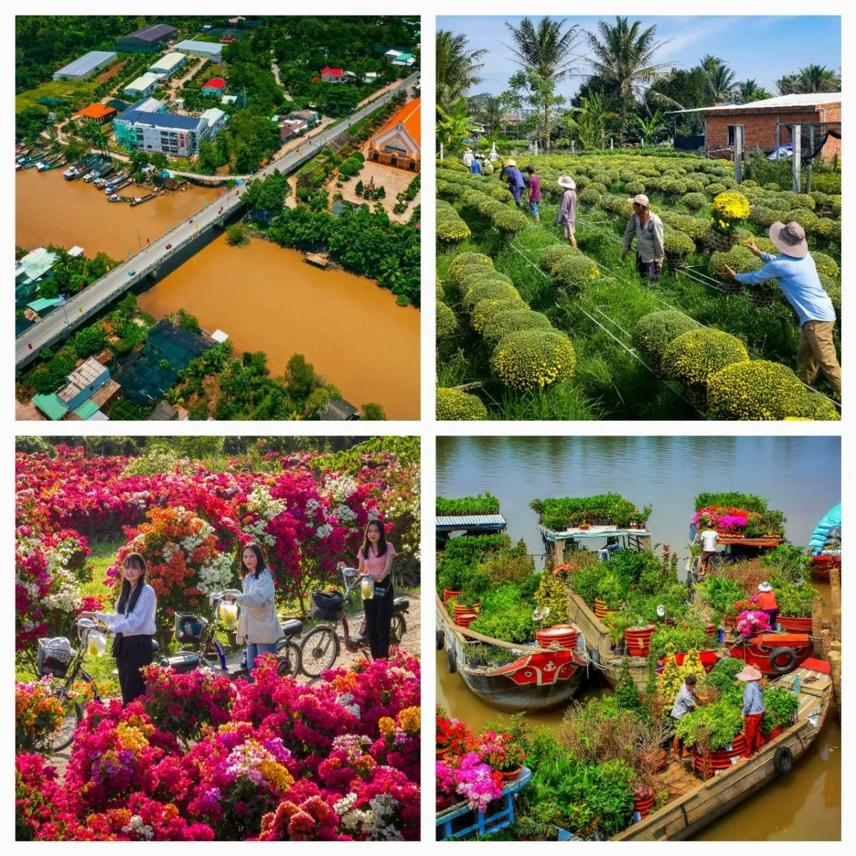 Lễ hội hoa - kiểng Chợ Lách lần đầu tiên tại Bến Tre có gì đặc sắc?