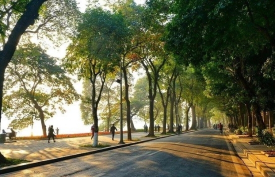 du bao thoi tiet hom nay 16122024 bac bo trua chieu troi hung nang nam bo co mua to