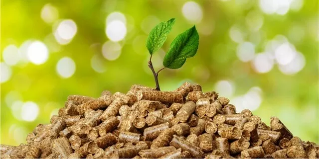 Năng lượng sinh khối – Động lực xanh cho tương lai nông thôn Việt Nam