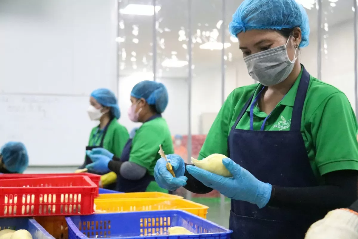 Kinh tế Việt Nam trước 'sóng gió' từ chính sách thương mại mới của Hoa Kỳ
