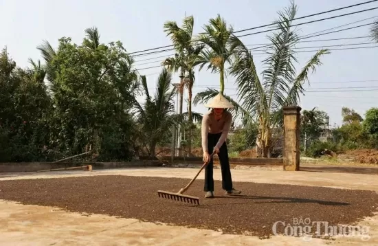 Xuất khẩu hồ tiêu Việt Nam: Nhu cầu từ Hoa Kỳ giúp thị trường ổn định