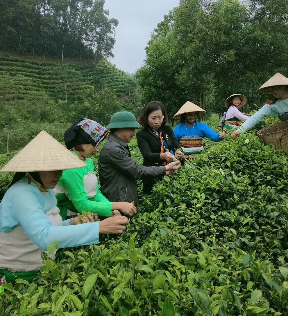 Nhận diện các thương hiệu OCOP tại Thanh Hóa: Bài 3- Những bất cập trong triển khai thực hiện Chương trình OCOP