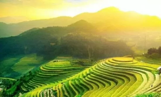 Dự báo thời tiết hôm nay 19/12/2024: Bắc Bộ ngày nắng, trời rét về đêm và sáng sớm