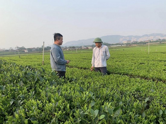 thuc hien tot chuong trinh muc tieu quoc gia giam ngheo ben vung