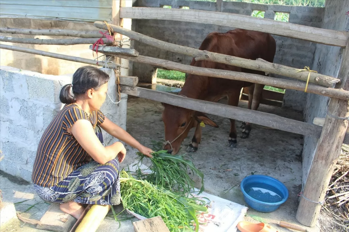 Thực hiện tốt Chương trình mục tiêu quốc gia giảm nghèo bền vững