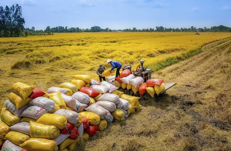 02 tháng đầu năm 2025, xuất khẩu gạo cả nước ước đạt 1,1 triệu tấn (tăng 5,9%), giá trị đạt 613 triệu USD (giảm 13,6%)