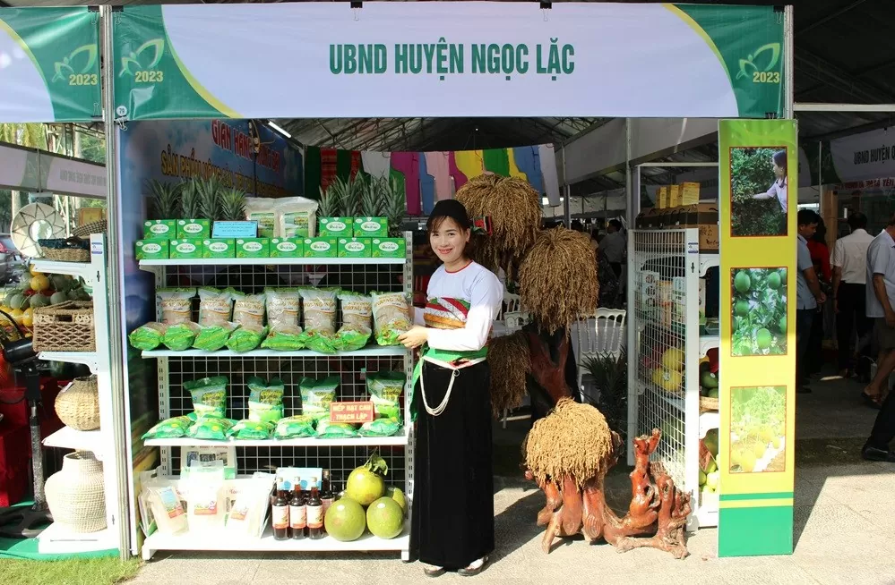 Nhận diện các thương hiệu OCOP tại Thanh Hóa: Bài Cuối- Giải pháp đưa Chương trình OCOP phát triển bền vững