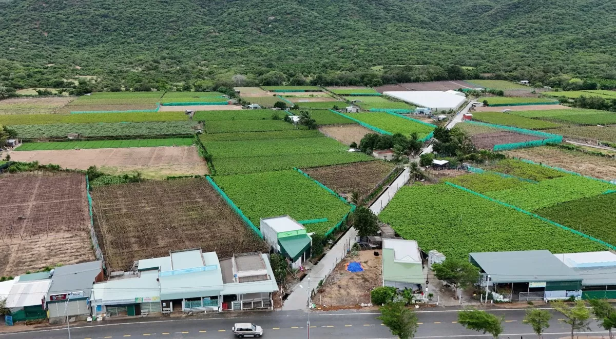 tro lai noi lam nha may dien hat nhan o ninh thuan bai 1 dong thuan va mong cho