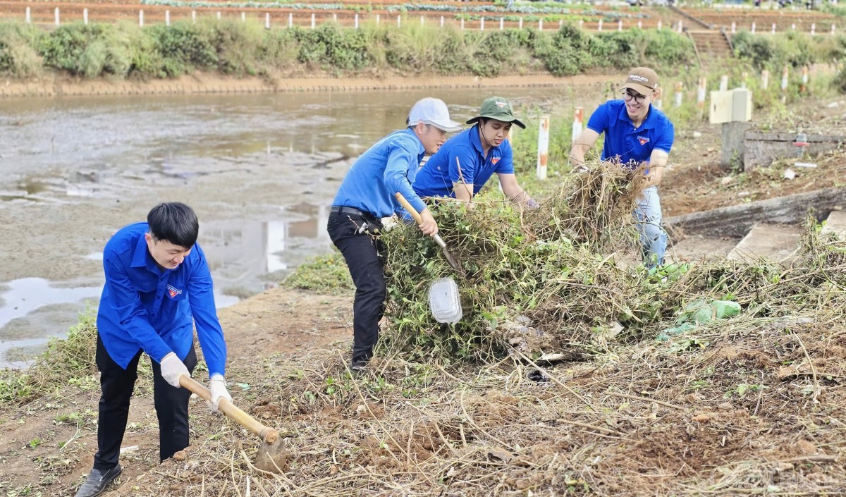 Bộ đội, thanh niên Gia Lai hối hả dọn dẹp vệ sinh, làm đẹp môi trường đón Tết Ất Tỵ 2025